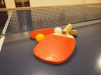 日本卓球Ｔリーグ（T.LEAGUE）